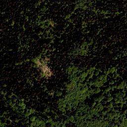 Satellite imagery of Tokaniště [Horní Planá-Zvonková], CZ