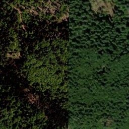 Satellite imagery of Tokaniště [Horní Planá-Zvonková], CZ
