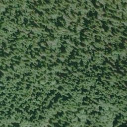 Satellite imagery of Forest Divide, US