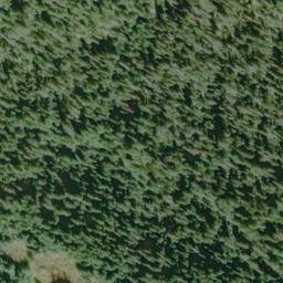 Satellite imagery of Forest Divide, US