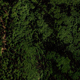 Satellite imagery of Tokaniště [Horní Planá-Zvonková], CZ