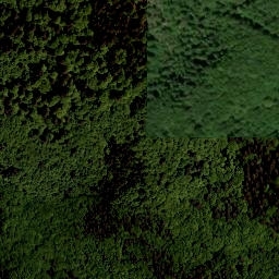 Satellite imagery of Tokaniště [Horní Planá-Zvonková], CZ