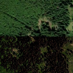 Satellite imagery of Tokaniště [Horní Planá-Zvonková], CZ