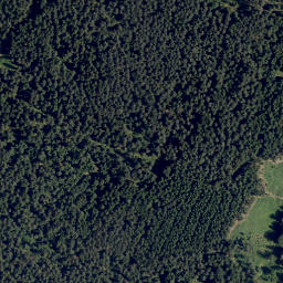 Satellite imagery of Grossalpe, AT