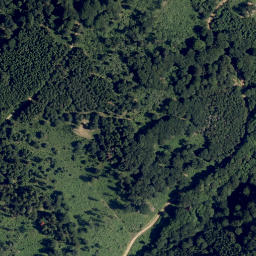 Satellite imagery of Wechsel Berg, AT
