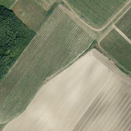 Satellite imagery of Taubenbühel, AT