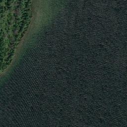 Satellite imagery of Tripod Point, US