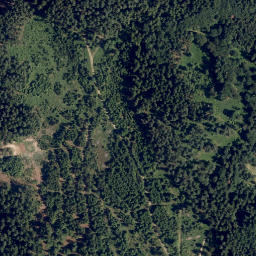 Satellite imagery of Grossalpe, AT