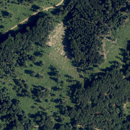 Satellite imagery of Wechsel Berg, AT