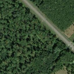 Satellite imagery of Rokytová [Lanžhot], CZ