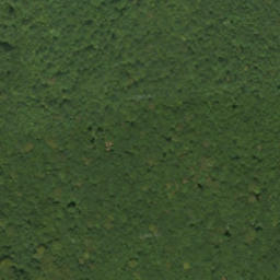 Satellite imagery of survey_point, SK