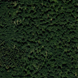 Satellite imagery of Jungfrauföhren, AT