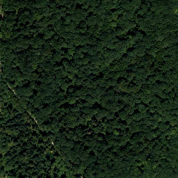 Satellite imagery of Jungfrauföhren, AT