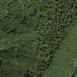 Satellite imagery of survey_point, SK