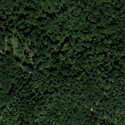 Satellite imagery of Jungfrauföhren, AT