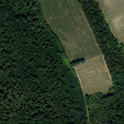 Satellite imagery of Kirchberg, AT