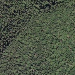 Satellite imagery of Mount Walbran, CA