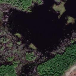 Satellite imagery of Koksilah Ridge, CA