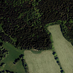 Satellite imagery of Pestřický vrch [Horní Planá-Pestřice], CZ