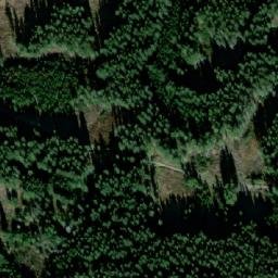 Satellite imagery of (Blíženský les [Černá v Pošumaví] ), CZ