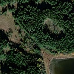 Satellite imagery of (Blíženský les [Černá v Pošumaví] ), CZ