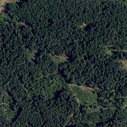 Satellite imagery of "Südpol" - südlichster Punkt des Bezirkes Waidhofen /Thaya, AT