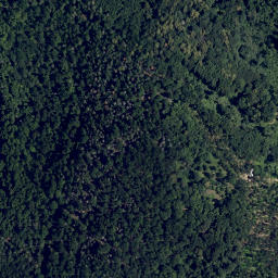 Satellite imagery of Steidel Berg, AT