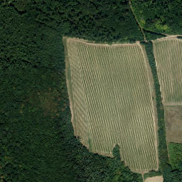 Satellite imagery of Kirchberg, AT