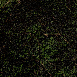 Satellite imagery of Sulzberg, AT