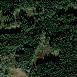 Satellite imagery of (Blíženský les [Černá v Pošumaví] ), CZ