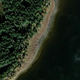 Satellite imagery of (Blíženský les [Černá v Pošumaví] ), CZ