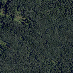 Satellite imagery of "Südpol" - südlichster Punkt des Bezirkes Waidhofen /Thaya, AT