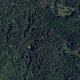 Satellite imagery of Steidel Berg, AT