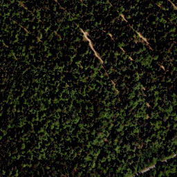 Satellite imagery of Sulzberg, AT