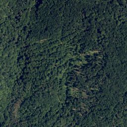 Satellite imagery of Steidel Berg, AT