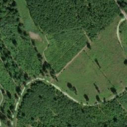 Satellite imagery of (Křenová alej) [Lanžhot], CZ