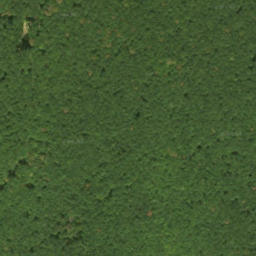 Satellite imagery of survey_point, SK