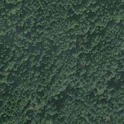 Satellite imagery of Echo Point, US
