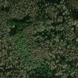 Satellite imagery of Buchenrain, DE