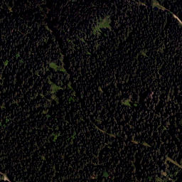 Satellite imagery of Kozí stráň [Černá v Pošumaví-Kyselov], AT