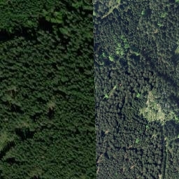 Satellite imagery of Jelení hřbet [Horní Stropnice-Staré Hutě], CZ