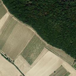 Satellite imagery of Fuchsenberg, AT