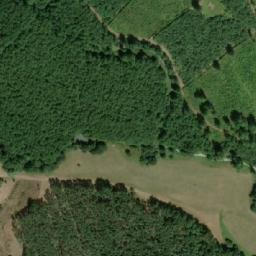 Satellite imagery of (Křenová alej) [Lanžhot], CZ