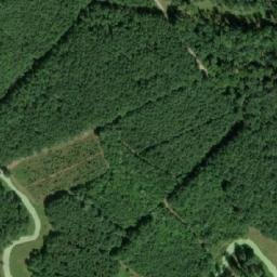 Satellite imagery of (Křenová alej) [Lanžhot], CZ