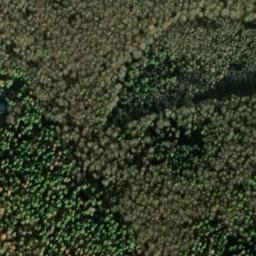 Satellite imagery of Bergwald, DE