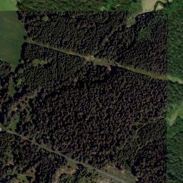 Satellite imagery of Kyselovský les [Černá v Pošumaví-Kyselov], CZ
