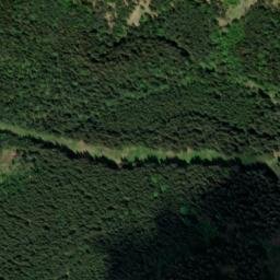 Satellite imagery of Kyselovský les [Černá v Pošumaví-Kyselov], CZ
