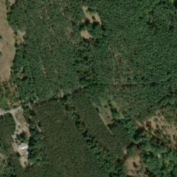 Satellite imagery of (Křenová alej) [Lanžhot], CZ