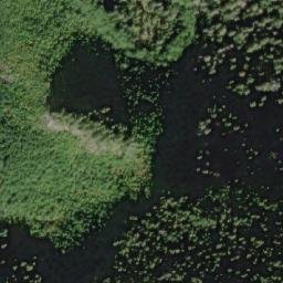 Satellite imagery of Carmanah Mountain, CA