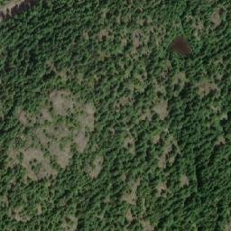 Satellite imagery of Waterloo Mountain, CA